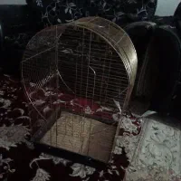 قفس بزرگ