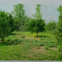 فروش زمین باغی