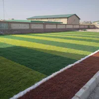 چمن زمین ورزشی و فوتبال