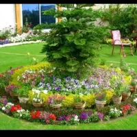 اجرا‌وامور‌باغبانی‌وفضای‌سبز|خدمات باغبانی و درختکاری|گرگان, |دیوار