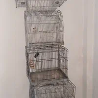 قفس پرنده