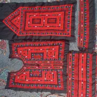 زیاستین تارکش