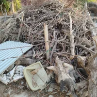 فروش کنده در سیریز زرند|فعالیت داوطلبانه|زرند, |دیوار