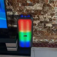 اسپیکر بیکارو