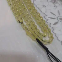 شامقصود افغان نباتی کهنه بکر