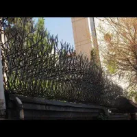 حفاط شاخ گوزنی نرده حفاظ پنجره