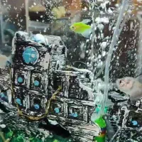 آکواریوم به فروش میرسد|ماهی|زرقان, |دیوار