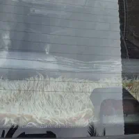 شادگان|خودرو سواری و وانت|شادگان, |دیوار