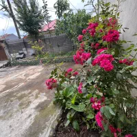 خانه-ویلایی-300-متر-معاوضه-یخسازی-احمدگوراب