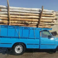 خریدار چوب های باغی|خدمات باغبانی و درختکاری|لردگان, |دیوار