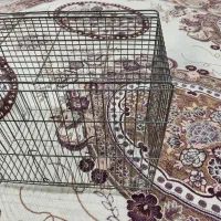 قفس|لوازم جانبی حیوانات|قروه, |دیوار