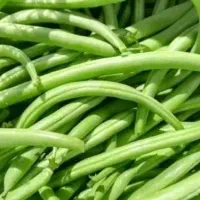لوبیاسبز ترد و تازه