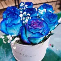 صندوق خانگی۱۰۰میلیون تومانی فقط ماهی۴تومن قسط