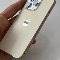 13 pro
