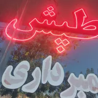 یک جفت گوشوا ه گم شده