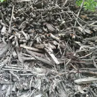 چوب ضایعاتی والوار توت ۳۰۰ساله|حراج|موچش, |دیوار