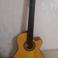 گیتار نو هست