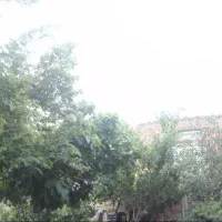 مشارکت در ساخت