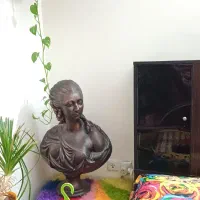 مجسمه|مجسمه، تندیس، ماکت|کرمان, |دیوار