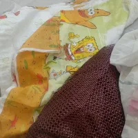 پرده