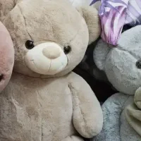 عروسک خرس وارداتی|اسباب‌‌بازی|تهران, ارم|دیوار