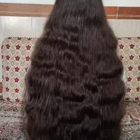 خریدار انواع موی خام و رنگی با قیمت دلاری