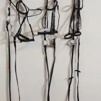 لوازم سوار کاری (اسب)