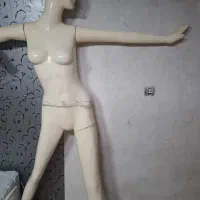 مانکن|فروشگاه و مغازه|مشهد, ده دی|دیوار