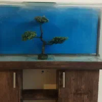 آکواریوم در ابعاد طول120ارتفاع50عرض30