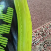 نایک جورایی سالنی وچمن نو|کیف، کفش، کمربند|ساری, |دیوار