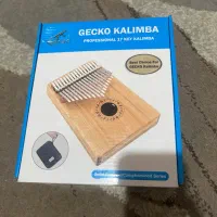 کالیمباGecko|سازهای سنتی|ری, صفاییه (چشمه علی)|دیوار