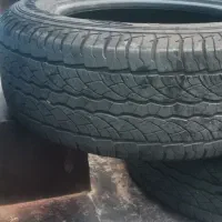 لاستیک کی ام سی