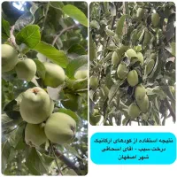 کود ارگانیک (افزایش تناژ و کیفیت گیاهت در اصفهان)|خدمات باغبانی و درختکاری|اصفهان, تیران|دیوار