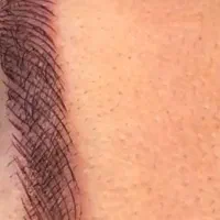 مدل کاملا رایگان فیبروز