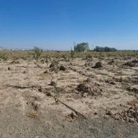 فروش زمین مناسب سرمایه گذاری جنب اتوبان مهاجرت|فروش دفتر صنعتی، کشاورزی، تجاری|صوفیان, |دیوار