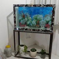 فروش اکواریوم تمیز