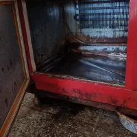 یخچال|فروشگاه و مغازه|تالش, هشتپر|دیوار