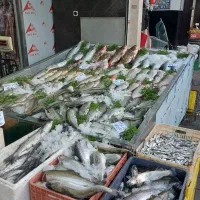 کارگر مرغ و ماهی