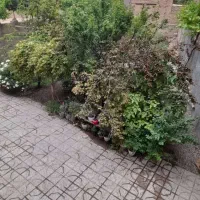 حیاط ویلایی معلم 270 متر بنا دوطبفه 180 متر حیاط|فروش خانه و ویلا|شاهرود, |دیوار