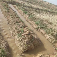 کارگر باغ چاله زنی راننده تراکتور همه کاره