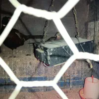 مادر مصنوعی صادراتی ویژه جوجه|لوازم جانبی حیوانات|همدان, |دیوار