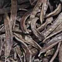 پخش صفر تا صد محصولات عطاری نمایندگی استان لرستان|آرایشی، بهداشتی، درمانی|بروجرد, |دیوار