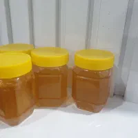 عسل بهاره و اصل از کوه های اسفراین|خوردنی و آشامیدنی|نیشابور, شهرک قدس|دیوار