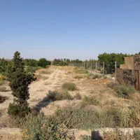 زمین باغچه سند تک برگ عطر یاس