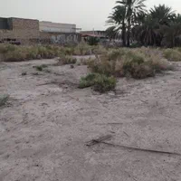 فروش زمین ۳۰۰متری بلواربهداشت