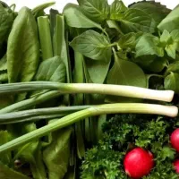 فروشنده جهت کار در فروشگاه سبزیجات آماده.