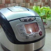 پلوپز آرام پز گاسونیک