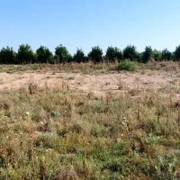 زمین سیامنصور|فروش دفتر صنعتی، کشاورزی، تجاری|دزفول, |دیوار