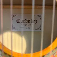 گیتار تمیز c-70|گیتار، بیس، امپلیفایر|گرگان, |دیوار