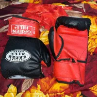 دستکش بوکس Green Hill